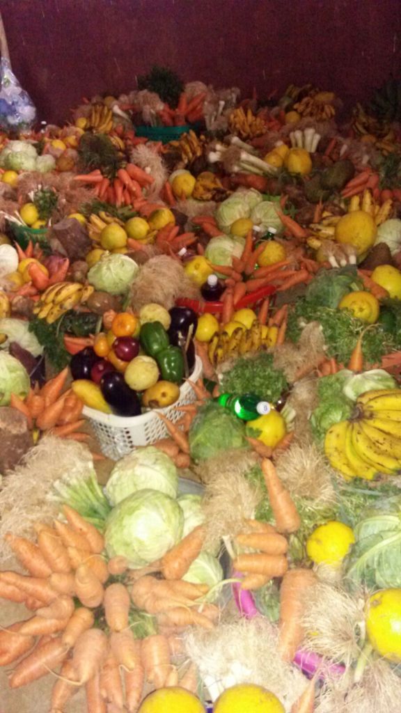 Seguin_Harvest Feast 2016_bounty2